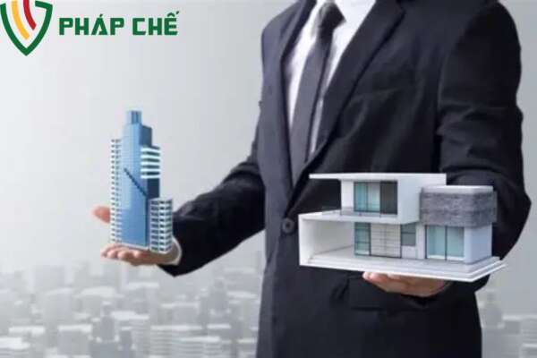 Các Loại Hình Thẩm Định Trong Giao Dịch M&A