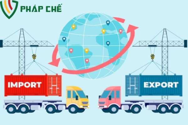 Tại sao nên chọn tư vấn về thuế, hải quan tại Luật Thiên Mã 