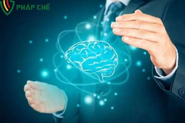 Tàm quan trọng của Dịch Vụ Sở Hữu Trí Tuệ
