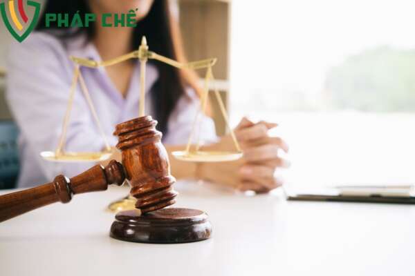 Khi nào cần dịch vụ pháp chế doanh nghiệp 