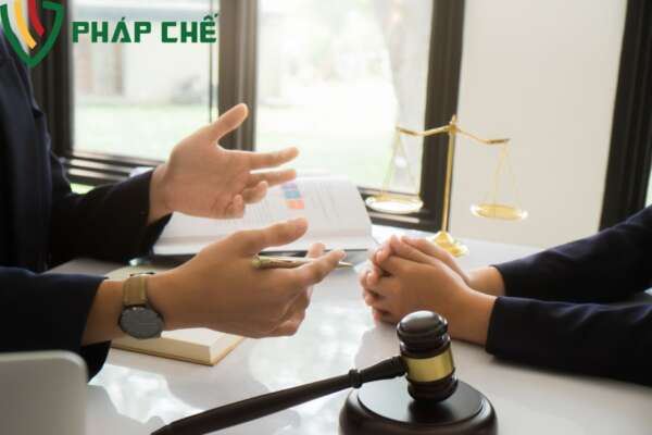 Quy trình làm việc với Luật Thiên Mã 