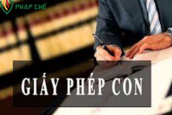 Tầm Quan Trọng Của Giấy Phép Con Trong Môi Trường Kinh Doanh Hiện Đại