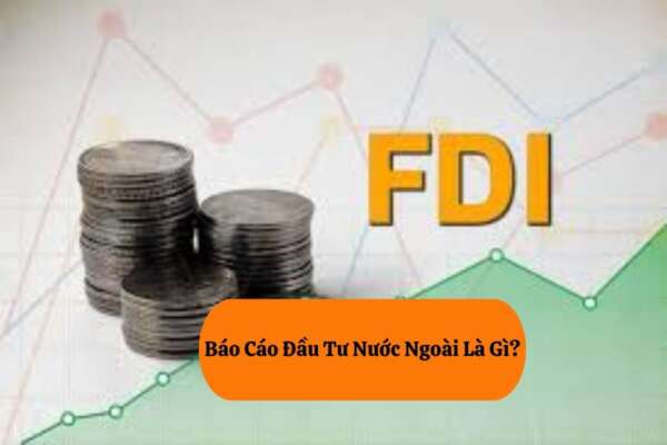 Báo Cáo Đầu Tư Nước Ngoài – Hướng Dẫn Chi Tiết Mới Nhất 2 báo cáo đầu tư nước ngoài
