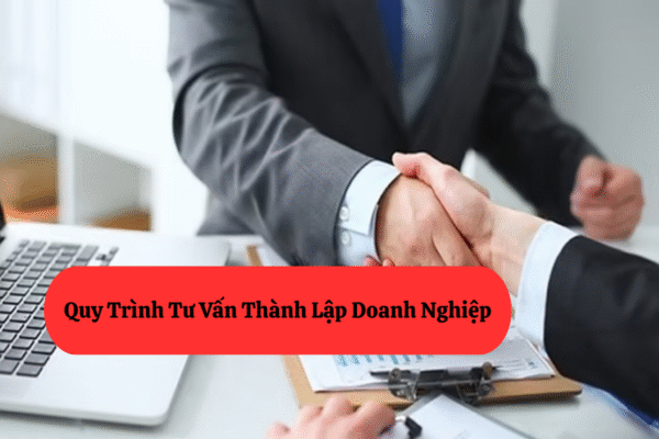 Quy Trình Tư Vấn Thành Lập Doanh Nghiệp