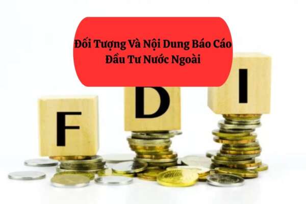 Báo Cáo Đầu Tư Nước Ngoài – Hướng Dẫn Chi Tiết Mới Nhất 3 báo cáo đầu tư nước ngoài
