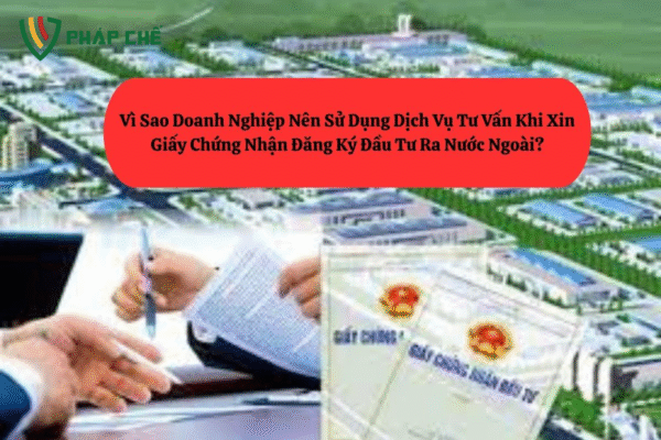 Giấy Chứng Nhận Đăng Ký Đầu Tư Ra Nước Ngoài Là Gì?