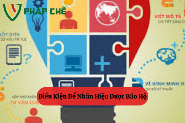 quy định về bảo hộ nhãn hiệu
