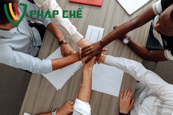 công ty liên doanh

