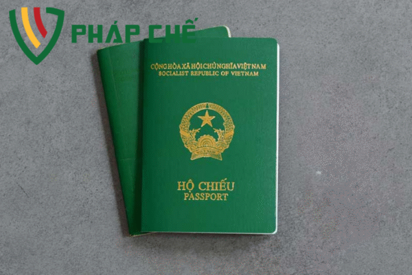 Thay đổi số hộ chiếu trên giấy phép kinh doanh: Quy trình chi tiết, hồ sơ và lưu ý quan trọng – Góc nhìn chuyên sâu từ Team Dịch Vụ Pháp Chế-Luật Thiên Mã 3 thay đổi số hộ chiếu trên giấy phép kinh doanh