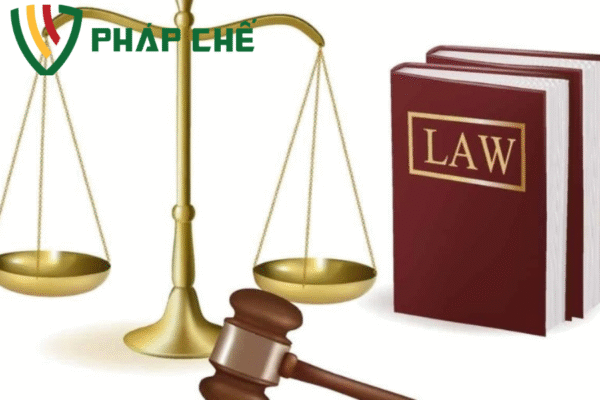 kiểm tra nhãn hiệu cục sở hữu trí tuệ
