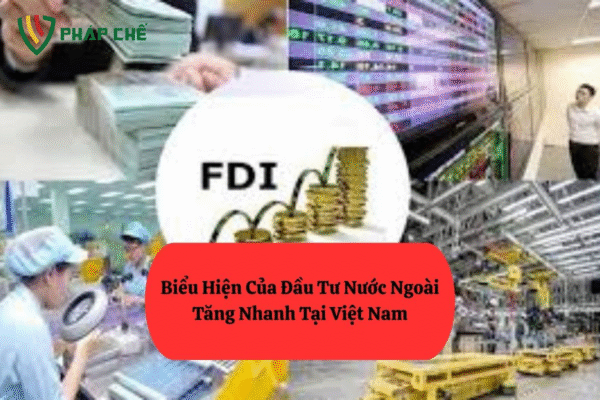 Biểu hiện của đầu tư nước ngoài tăng nhanh