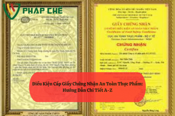 Điều Kiện Cấp Giấy Chứng Nhận An Toàn Thực Phẩm: Hướng Dẫn Chi Tiết A-Z 1 Điều Kiện Cấp Giấy Chứng Nhận An Toàn Thực Phẩm