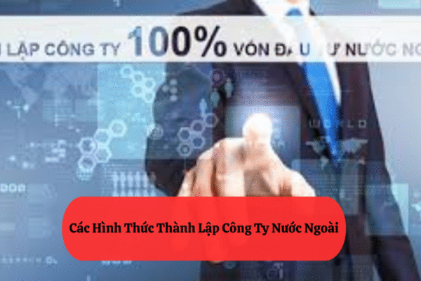 Các Hình Thức Thành Lập Công Ty Nước Ngoài