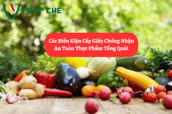 Điều Kiện Cấp Giấy Chứng Nhận An Toàn Thực Phẩm: Hướng Dẫn Chi Tiết A-Z 2 Điều Kiện Cấp Giấy Chứng Nhận An Toàn Thực Phẩm