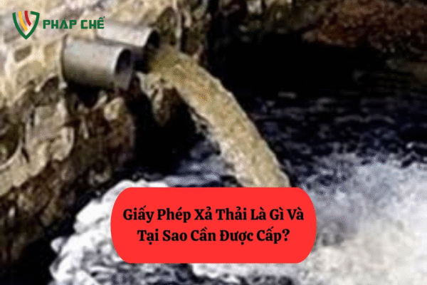 cấp phép xả thải