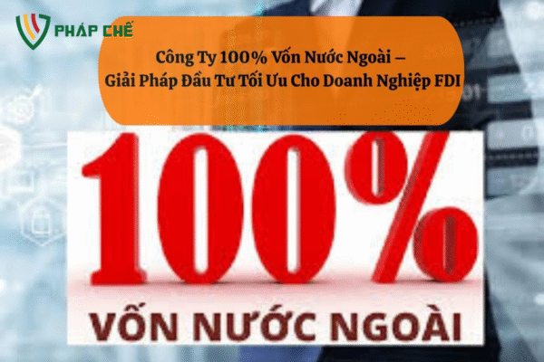 Các công ty 100% vốn nước ngoài: Đặc điểm, vai trò và những lưu ý quan trọng khi đầu tư tại Việt Nam – Góc nhìn chuyên sâu từ Team Dịch Vụ Pháp Chế-Luật Thiên Mã 2 Các công ty 100% vốn nước ngoài