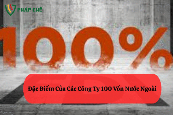Các công ty 100% vốn nước ngoài: Đặc điểm, vai trò và những lưu ý quan trọng khi đầu tư tại Việt Nam – Góc nhìn chuyên sâu từ Team Dịch Vụ Pháp Chế-Luật Thiên Mã 3 Các công ty 100% vốn nước ngoài