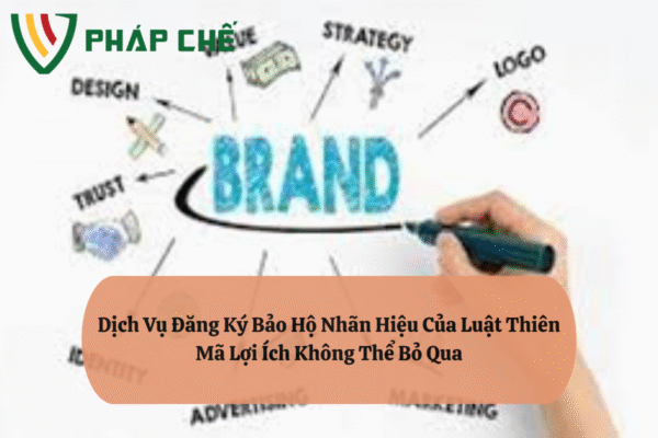Dịch Vụ Đăng Ký Bảo Hộ Nhãn Hiệu Của Luật Thiên Mã: Chi Tiết Từng Bước