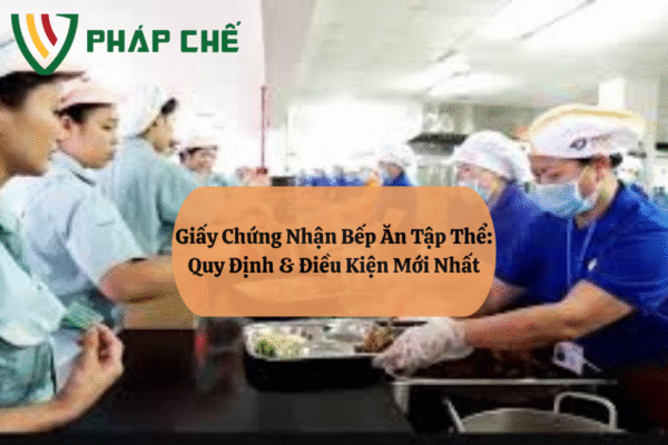 Giấy Chứng Nhận Bếp Ăn Tập Thể: Quy Định & Điều Kiện Mới Nhất 1 4.1giay chung nhan bep an tap the