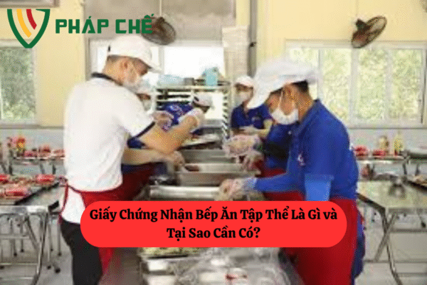 Giấy Chứng Nhận Bếp Ăn Tập Thể: Quy Định & Điều Kiện Mới Nhất 2 4.2giay chung nhan bep an tap the