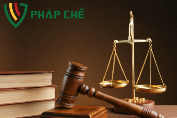 Thành lập Công ty Tư vấn Luật tại Việt Nam: Hướng Dẫn Chi Tiết Về Điều Kiện, Hồ Sơ và Quy Trình – Góc Nhìn Từ Team Dịch Vụ Pháp Chế-Luật Thiên Mã 3 Thành lập Công ty Tư vấn Luật