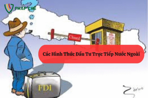 Đầu Tư Trực Tiếp Nước Ngoài - Các hình thức đầu tư trực tiếp nước ngoài