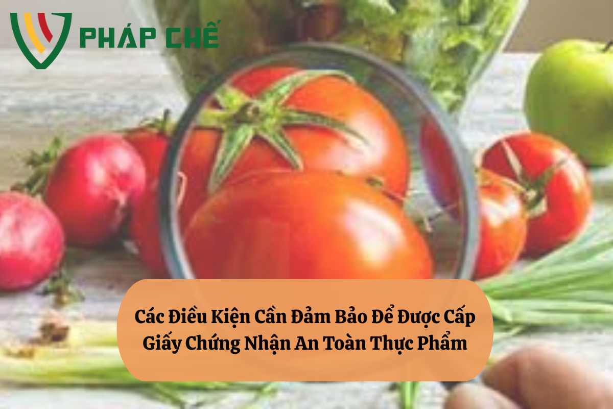 Các Điều Kiện Cần Đảm Bảo Để Được Cấp Giấy Chứng Nhận An Toàn Thực Phẩm