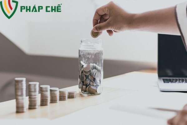 Phạm vi áp dụng dịch vụ 