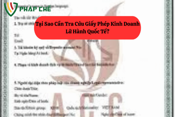 tra cứu giấy phép kinh doanh lữ hành quốc tế