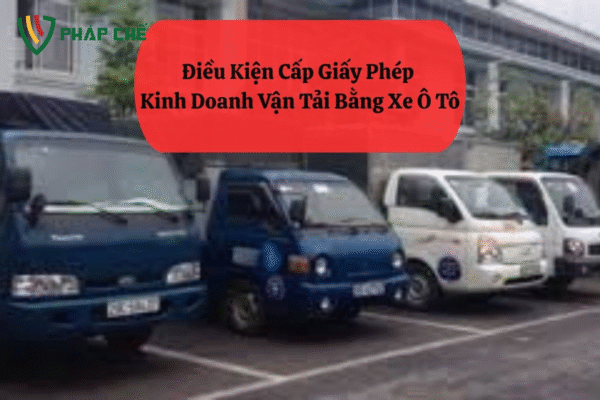 giấy phép kinh doanh vận tải