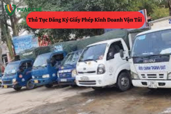 giấy phép kinh doanh vận tải