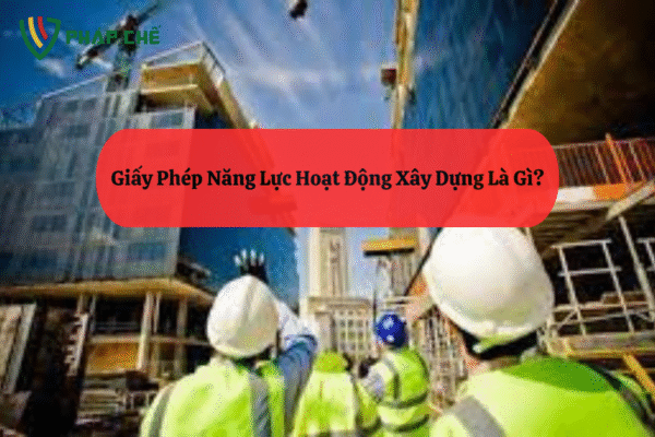Giấy Phép Năng Lực Xây Dựng: Điều Kiện Bắt Buộc Cho Tổ Chức Tham Gia Xây Dựng 2 Giấy Phép Năng Lực Xây Dựng