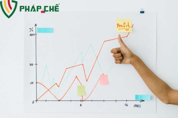 Giải Thể Doanh Nghiệp Nhà Nước: Hướng Dẫn Chuẩn Bị Hồ Sơ, Thủ Tục 5 Trình Tự Thủ Tục Giải Thể DNNN: Các Bước Cụ Thể