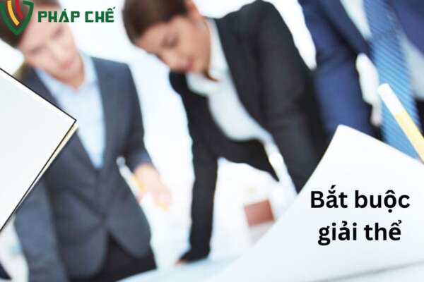 Các trường hợp doanh nghiệp buộc phải hoặc nên xem xét giải thể