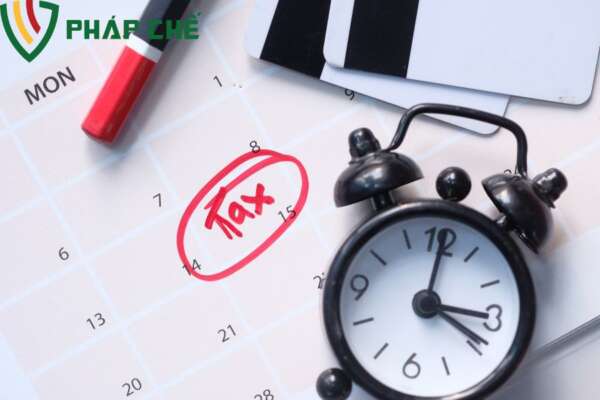 Quyết Toán Thuế Khi Giải Thể Chi Nhánh: Hướng Dẫn Chi Tiết Từ Luật Sư 5 Hồ Sơ Quyết Toán Thuế Khi Giải Thể Chi Nhánh: Chuẩn Bị Gì Để Không Sai Sót?