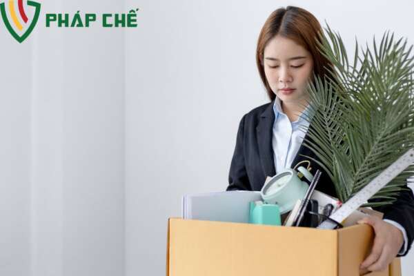 Thông Báo Giải Thể Doanh Nghiệp: Hướng Dẫn Chi Tiết & Mẫu Thông Báo 5 Các Lưu Ý Quan Trọng Khi Thông Báo Giải Thể DN