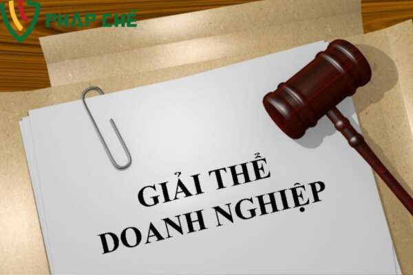 Những lưu ý pháp lý khi ban hành quyết định giải thể chi nhánh