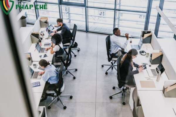 Quyết định giải thể văn phòng đại diện: Quy trình, hồ sơ và lưu ý 4 Nội dung cần có trong quyết định giải thể với văn phòng đại diện