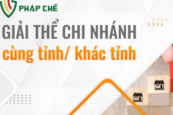 Nội dung cần có trong mẫu quyết định giải thể chi nhánh công ty TNHH