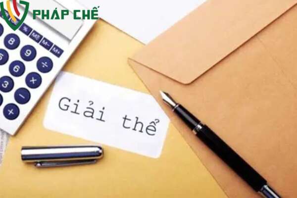 Quy trình ban hành và nộp quyết định giải thể chi nhánh công ty TNHH