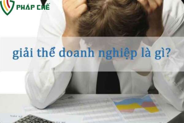 Trình Tự Các Bước Cốt Lõi Trong Thủ Tục Giải Thể Công Ty