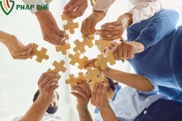 Các Trường Hợp Dẫn Đến Việc Giải Thể Công Ty TNHH