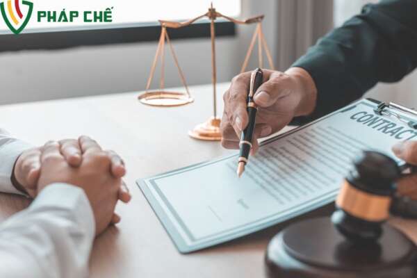 Giải Thể Doanh Nghiệp Nhà Nước: Hướng Dẫn Chuẩn Bị Hồ Sơ, Thủ Tục 2 Tính Phức Tạp Của Thủ Tục Giải Thể Doanh Nghiệp Nhà Nước