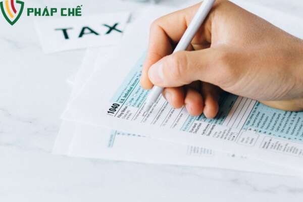 Hồ Sơ Giải Thể Chi Nhánh Phụ Thuộc: Hướng Dẫn Thực Hiện Đúng Luật 3 Giới Thiệu Chung Về Giải Thể Chi Nhánh Phụ Thuộc