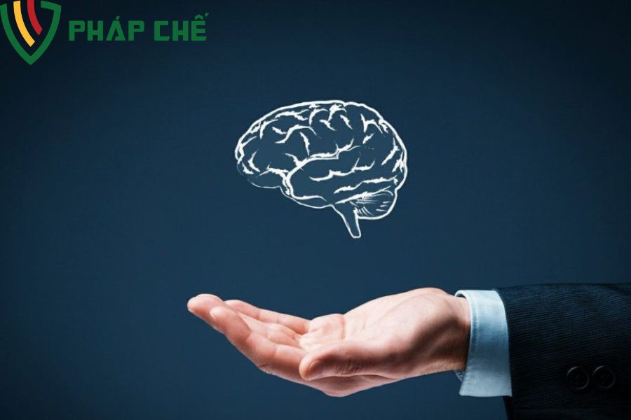 Sở hữu trí tuệ & Bản quyền