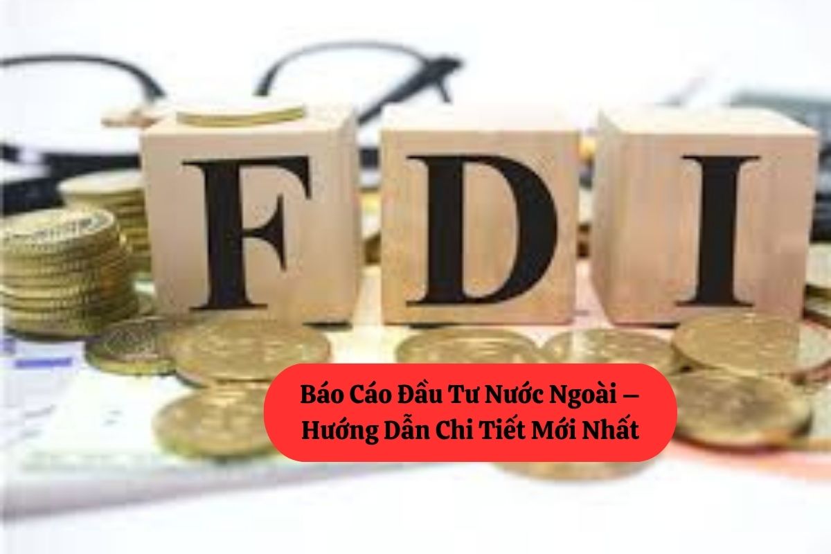Báo Cáo Đầu Tư Nước Ngoài – Hướng Dẫn Chi Tiết Mới Nhất