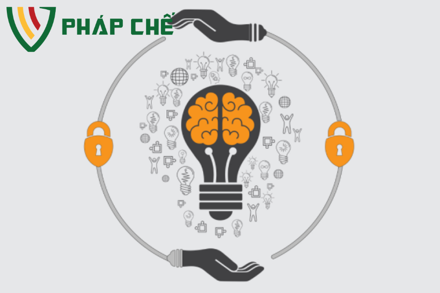 Xử Lý Hành Vi Xâm Phạm Quyền Tác Giả: Các Biện Pháp Và Quy Trình Tại Việt Nam