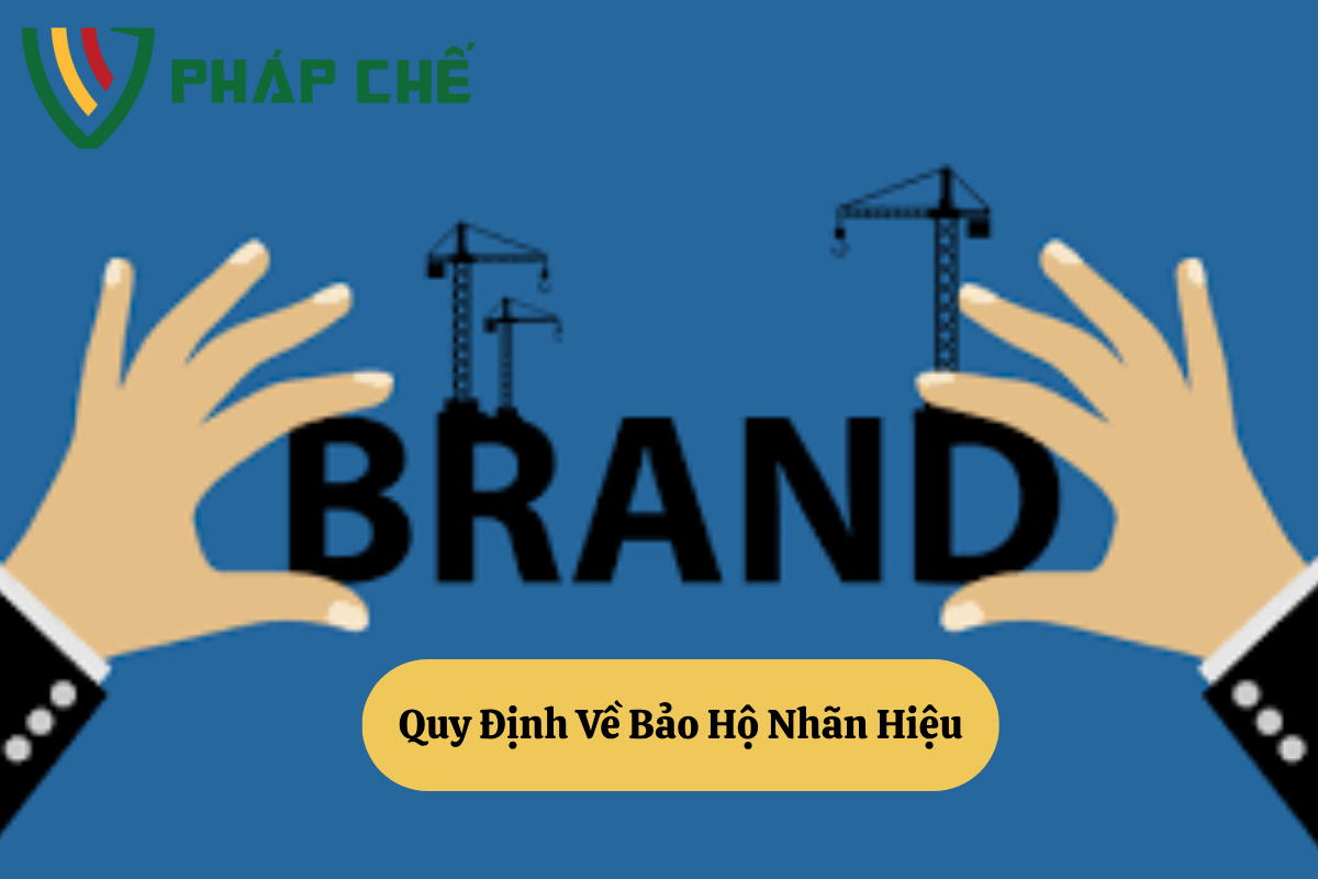 Quy Định Về Bảo Hộ Nhãn Hiệu: Nền Tảng Pháp Lý Vững Chắc Cho Thương Hiệu Việt