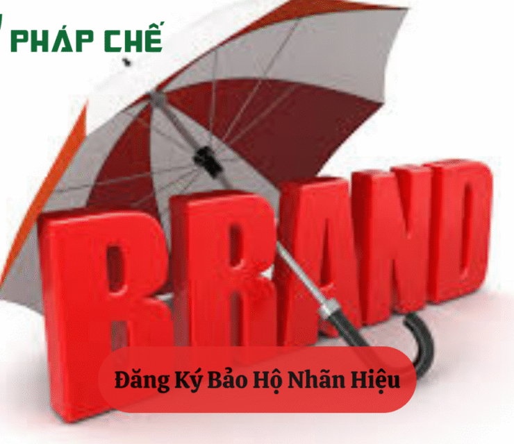 Đăng Ký Bảo Hộ Nhãn Hiệu: Tấm Khiên Vững Chắc Cho Thương Hiệu Việt