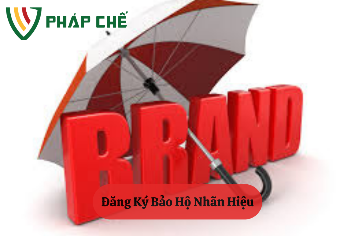 Đăng Ký Bảo Hộ Nhãn Hiệu: Tấm Khiên Vững Chắc Cho Thương Hiệu Việt